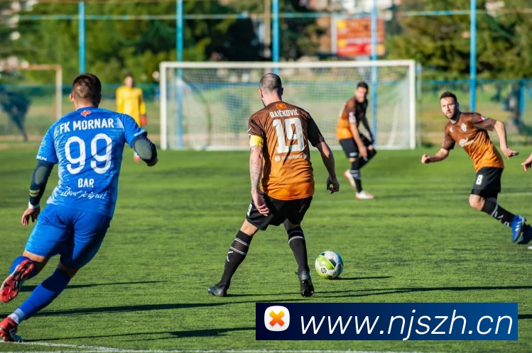 冠军体育(中国)责任有限公司官网发展历程